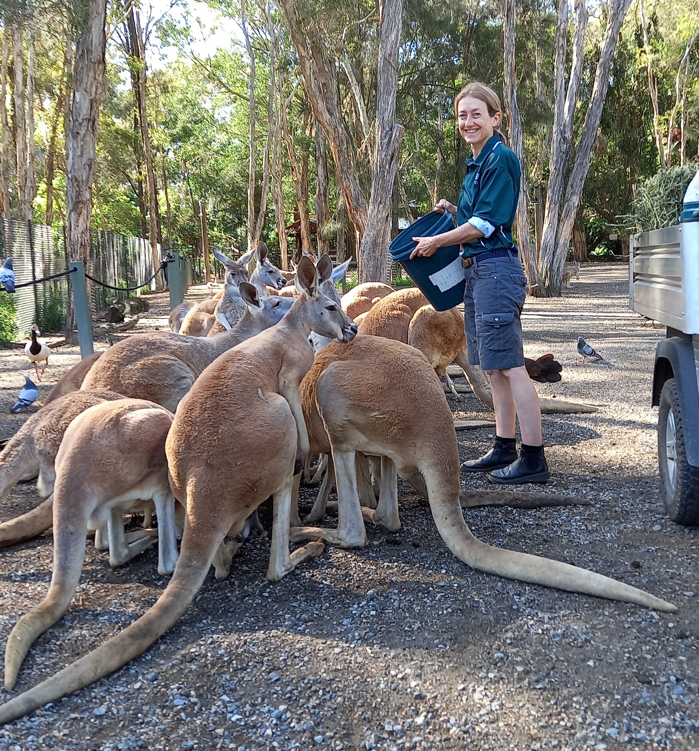 About California Wildlife Refuge Inc About California Wildlife Refuge Inc